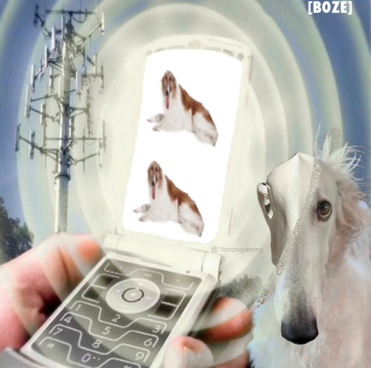 1borzoigaming's tweet photo. #borzoi #borzoitwt https://t.co/hAQ0S4WKH0