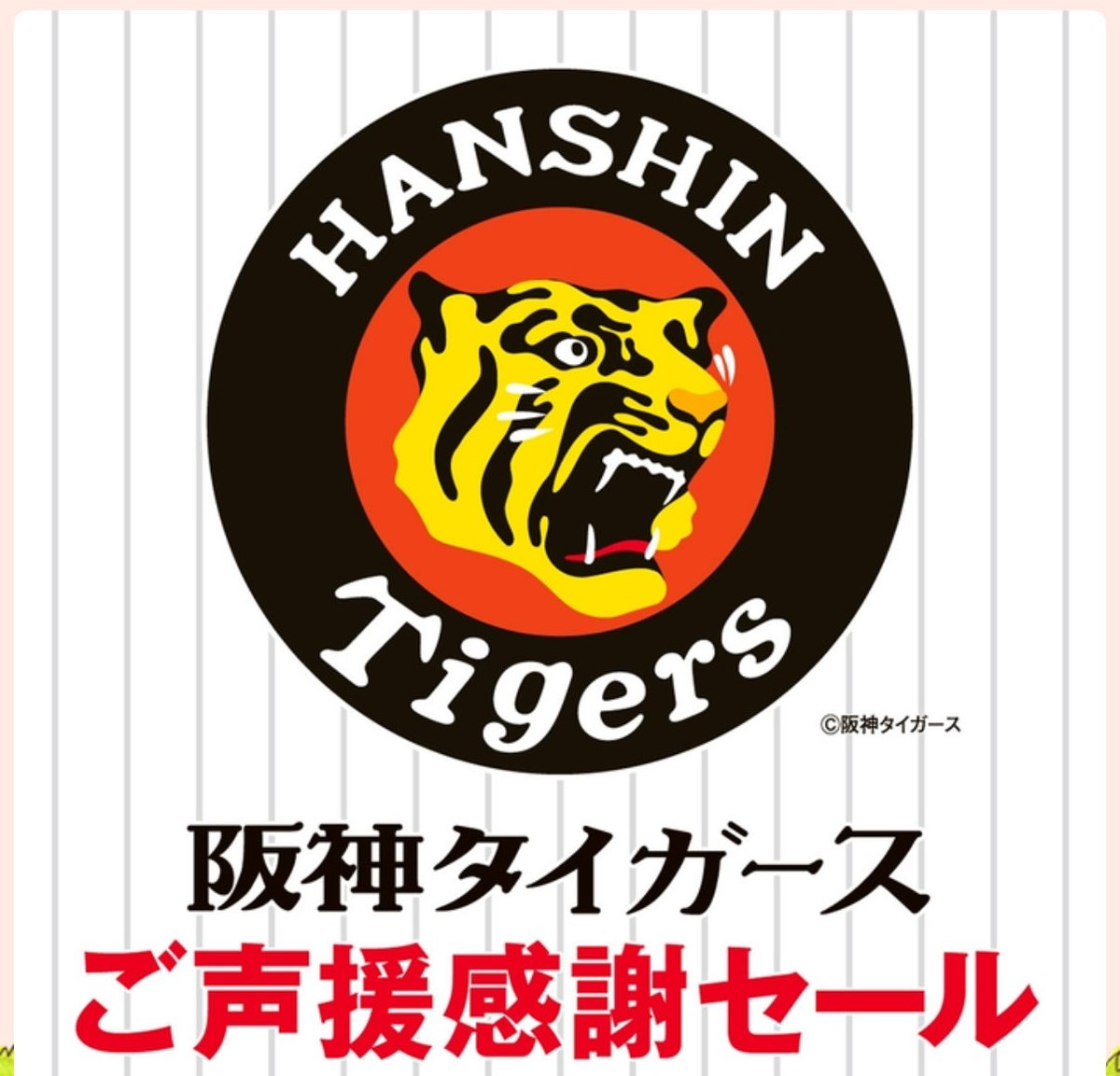 阪神タイガース プロコレビートアップ 特集】2023 PRO COLLECTION