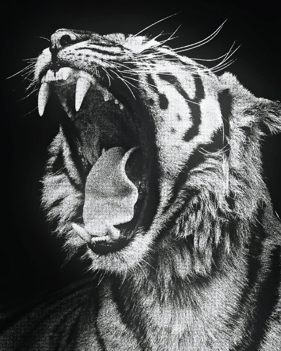 Mini Archillect (@miniarchillect) on Twitter photo 