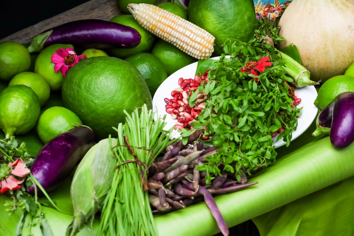 Con el lema “Mano de la por unos alimentos y un futuro mejores” reafirmamos nuestro compromiso de trabajar juntos por sistemas alimentarios sostenibles, inclusivos y resilientes.
#DíaMundialDeLaAlimentación