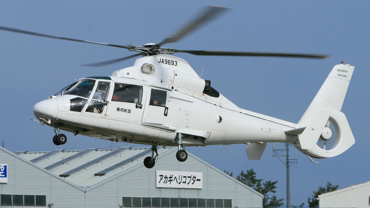 #ドーファンを愛でる会