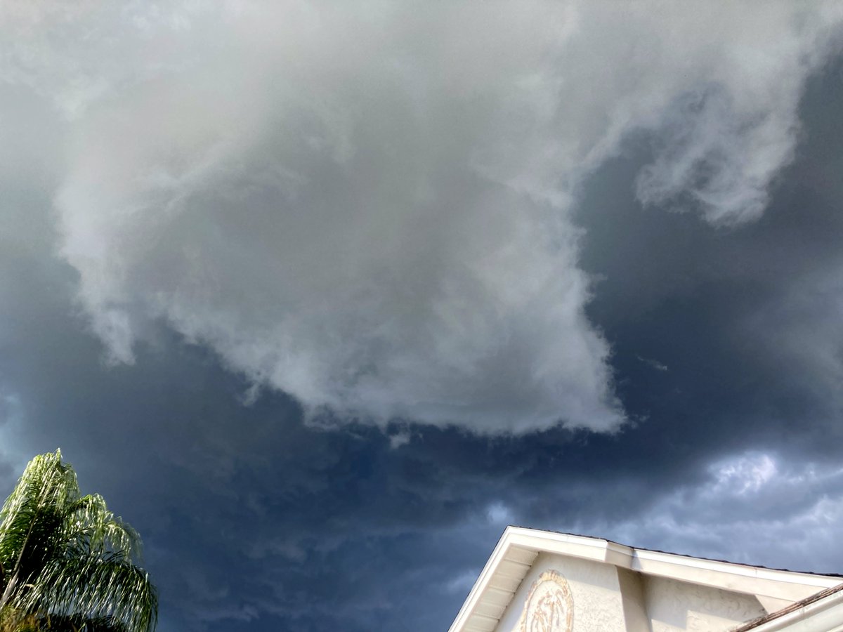 Nick Krasznavolgyi tweet media