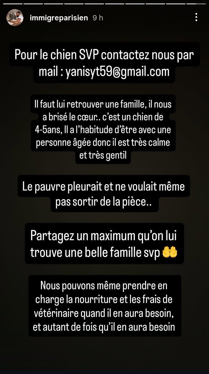 OursDeParis's tweet image. Bonjour ce p'tit chien 🐕 vient de perdre son maître...
On lui chercher une famille pour l'accueillir et le consoler 💔
Région Lille Arras Tourcoing privilégiées
Mais Paris et RP possible....
