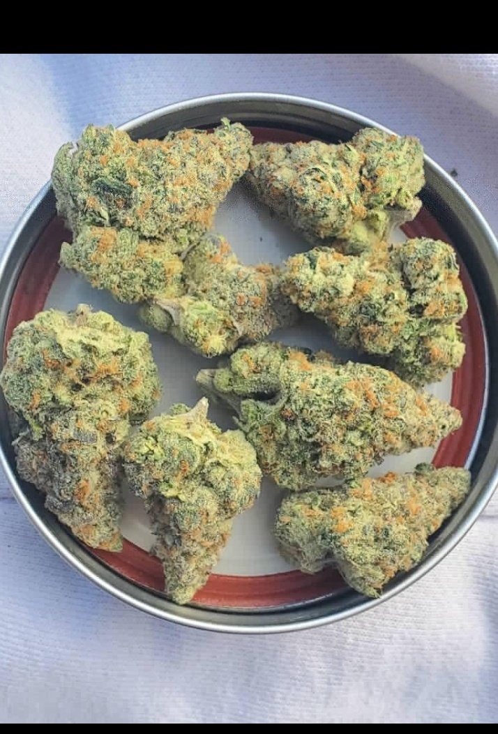 man_dator's tweet image. What is this