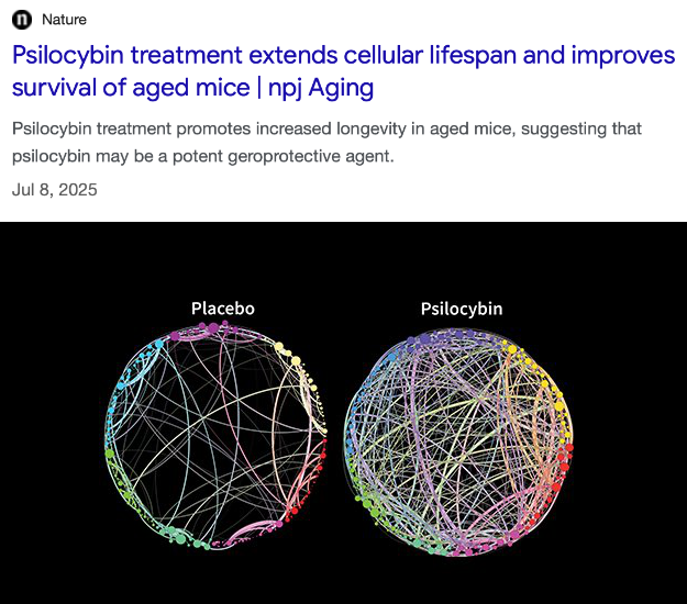 Dr J Rould tweet media