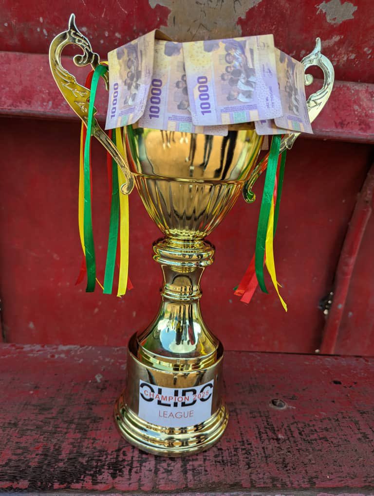 🚨🚨
La quatrième édition du championnat Olibo s'est achevée. Les <a href="/Galactique70162/">Galactiques fc</a> sont couronnés champions de l'édition 2025, affichant un impressionnant bilan de 12 victoires, 3 matchs nuls et une seule défaite. Ils ont été stratosphérique pendant toute la compétition.