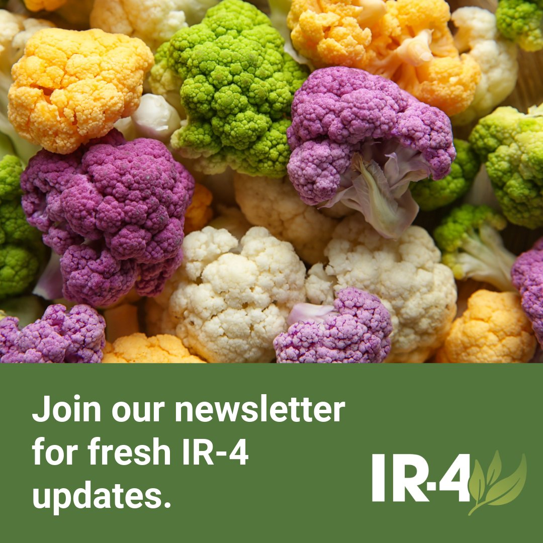 IR4_Project's tweet image. Sign up for our newsletter to receive fresh IR-4 updates! We typically send a couple of timely updates during the month, followed by a month-in-review. Subscribe here:

ncst.at/yyvb50XkAS8

#ir4project #ir4newsletter #specialtycrops #pestmanagement