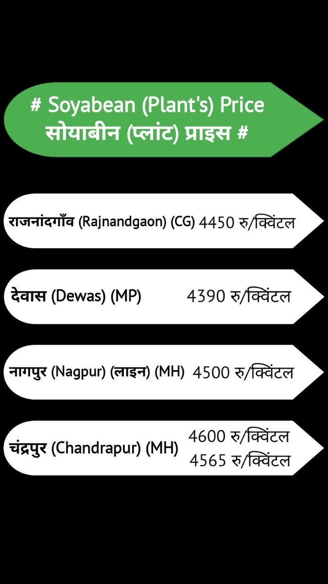 CommodityPulse's tweet image. 30-10-2025 आज का सोयाबीन का भाव #सोयाबीन #सोयाबीन_बाजार_भाव_आज