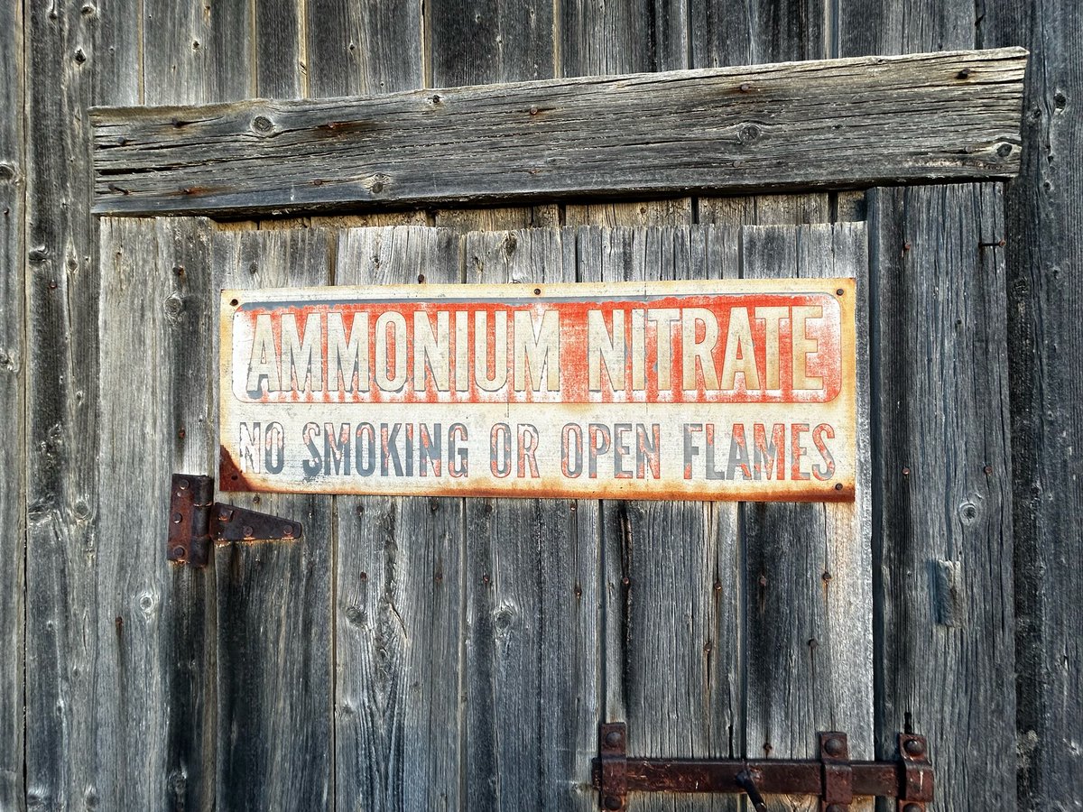 Jack Payne tweet media