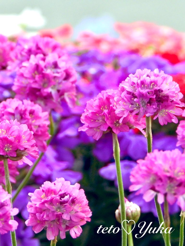 めぐページ 楽天市場】【送料無料】 伊達メガネ レディース メンズ ユニセックス