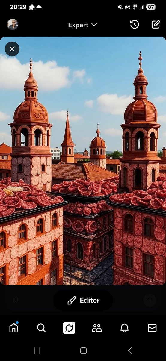 Dans la lignée de idés de <a href="/charlesed2005/">Charles-Ed</a> je pense qu'on devrait construire nos batiments en charcuterie. Chaque ville avec la spécialité locale pour faire travailler nos producteurs locaux et ça permettrait que les arabes ne viennent plus quen pensez vous ?