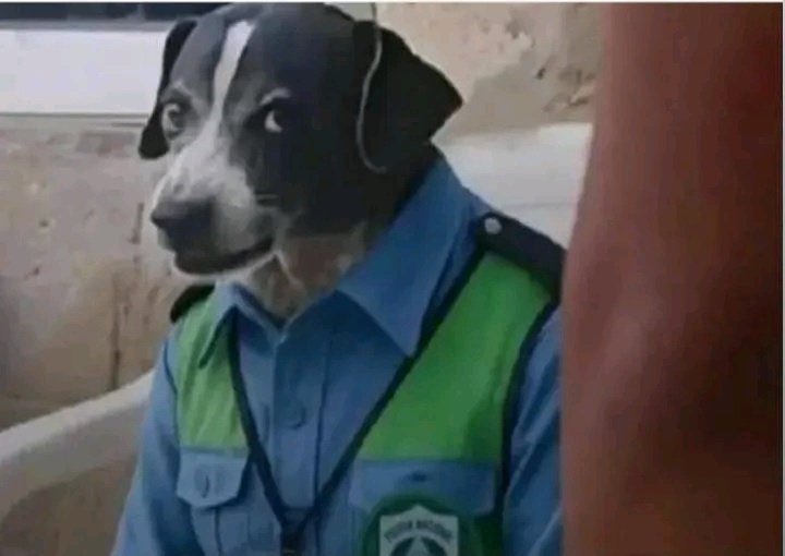 #UgandaBaatiJoinsGCM aren't you coming for The GuluCityMarathon or I pay for you