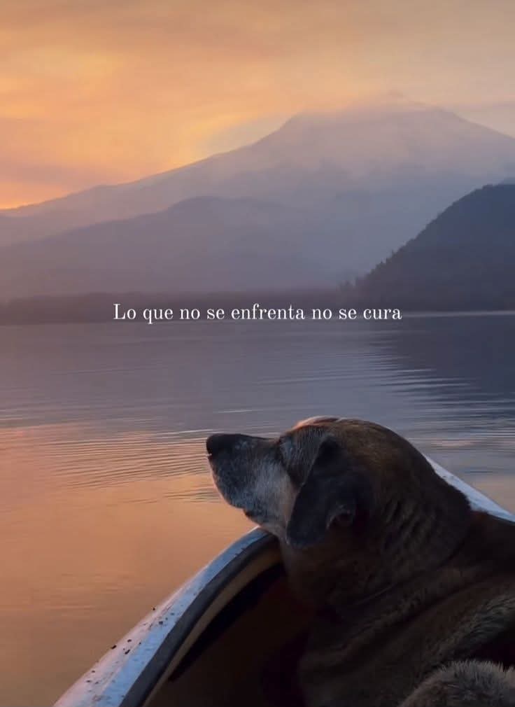 angelo_uf's tweet image. 