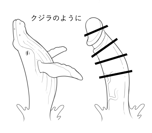 This visual analogy made me laugh way too hard 😄
Also, great reference material! Not my artwork - it’s from Pixiv:  pixiv.net/en/artworks/10…