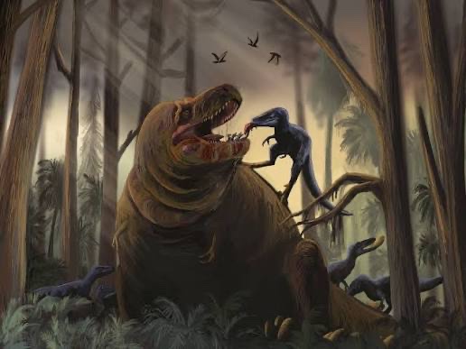 So I havent read the Nanotyrannus paper but from what I gather, there isn’t much to prove that it wasn’t  simply an adult of a different caste in an eusocial society like in me old drawing :B