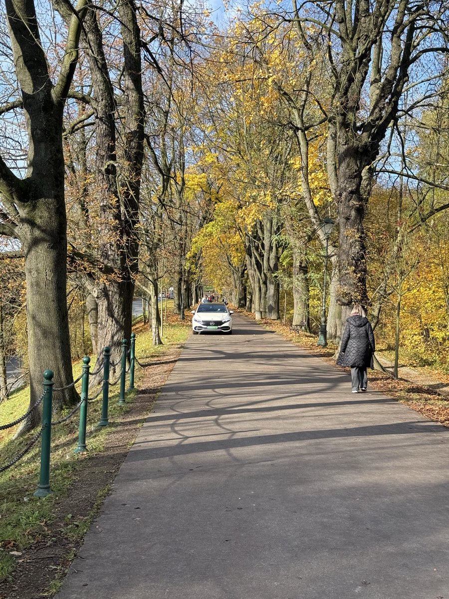 Zielone blachy to stan świadomości. Kraków, Aleja Waszyngtona dziś rano.