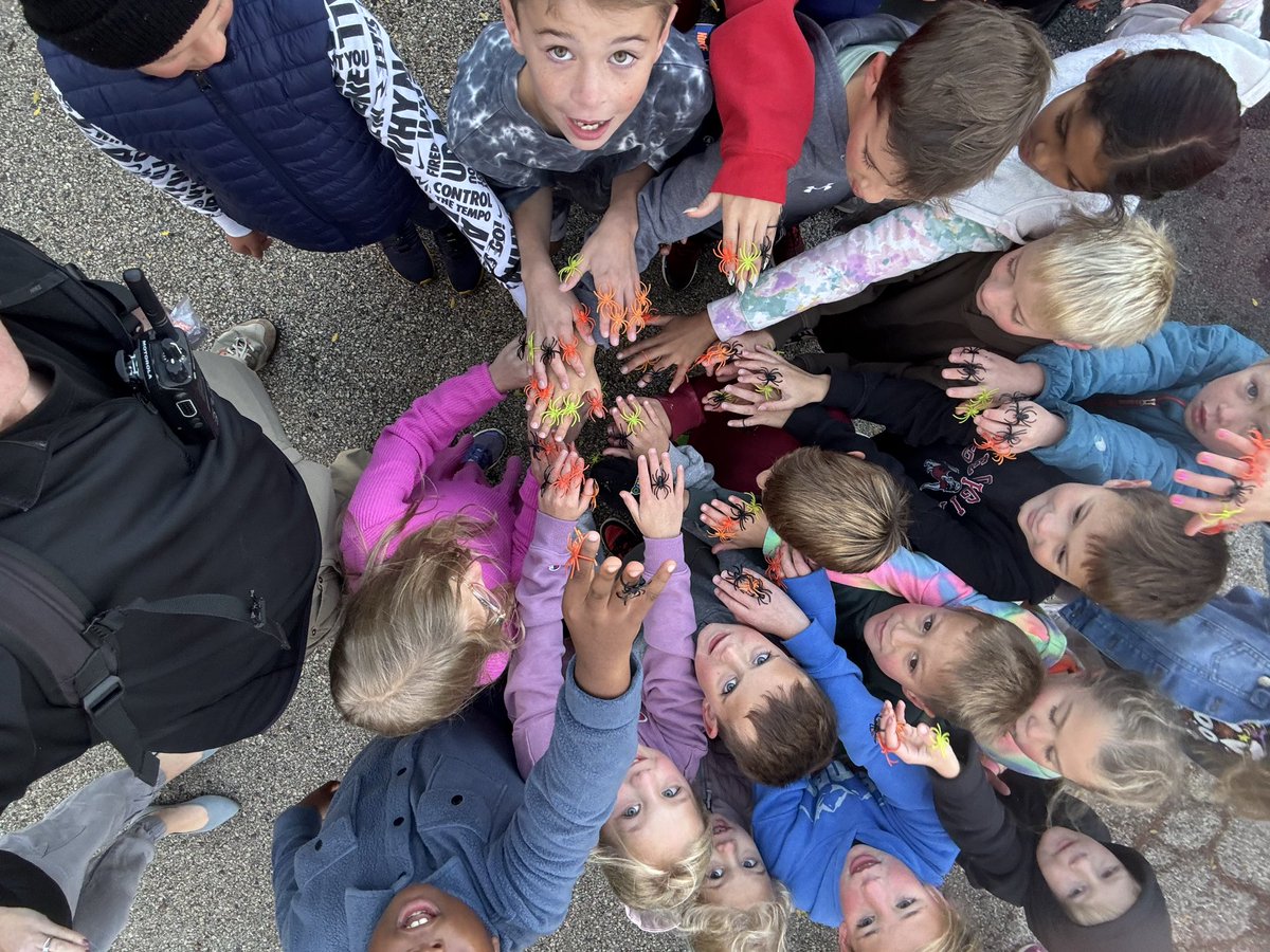 Lines PE tweet media