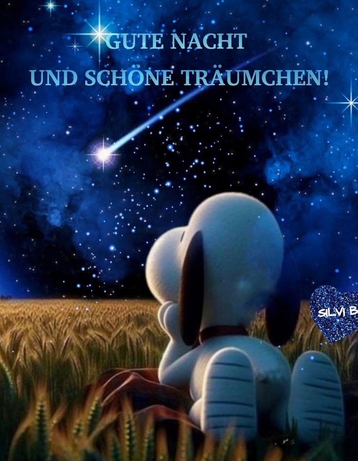 Carmelitta001's tweet image. Nacht✨🌜
#UkraibeWillWin
#DefendDemocracy
🌜✨