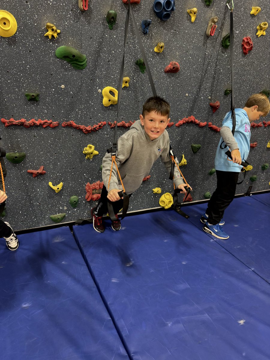 Lines PE tweet media