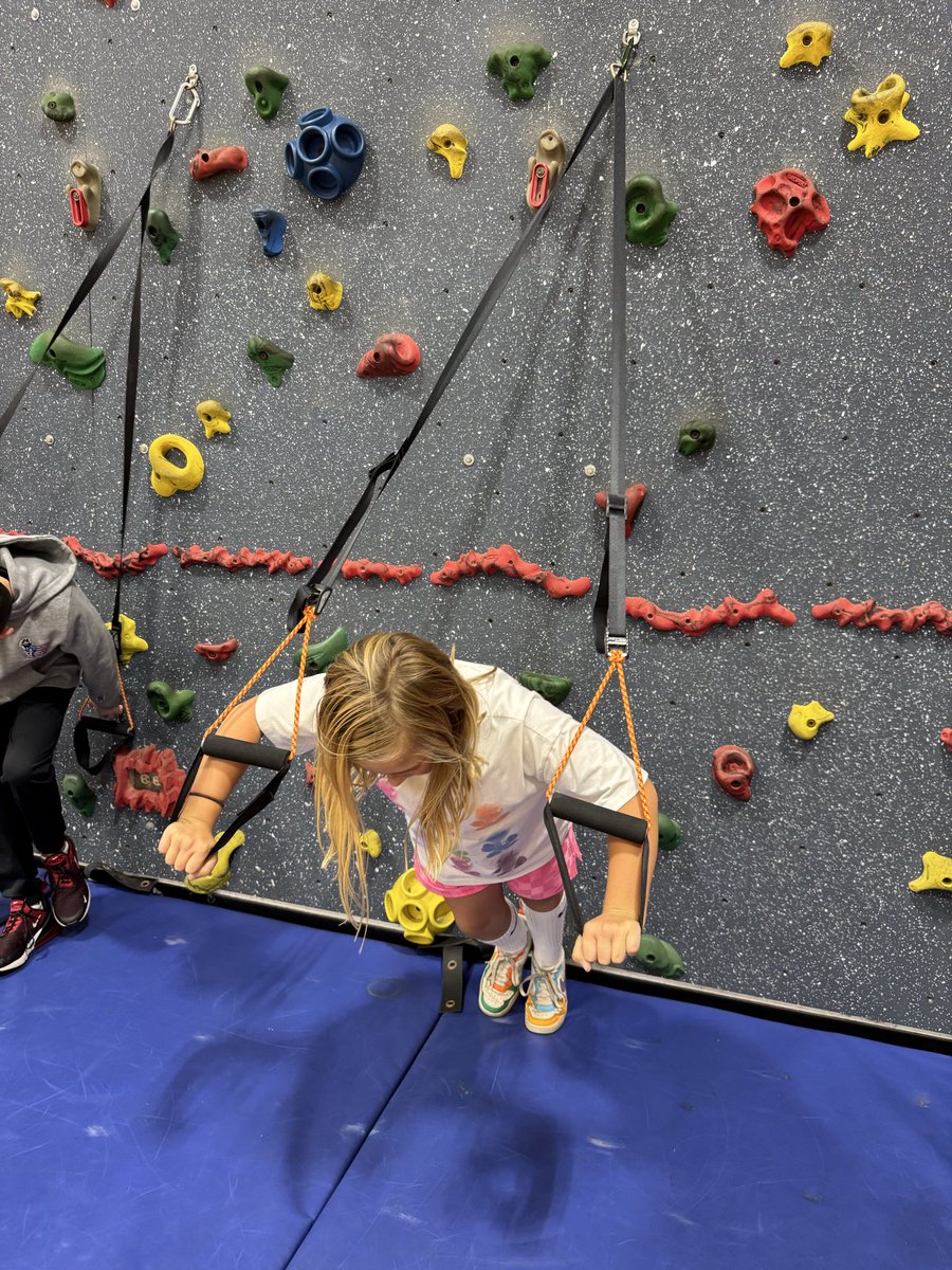 Lines PE tweet media