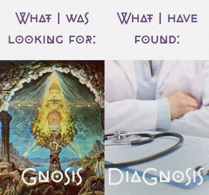 丰 Nightgrowler 丰 🇺🇦 Лесь Нічнорик (@nlghtgrowler) on Twitter photo 