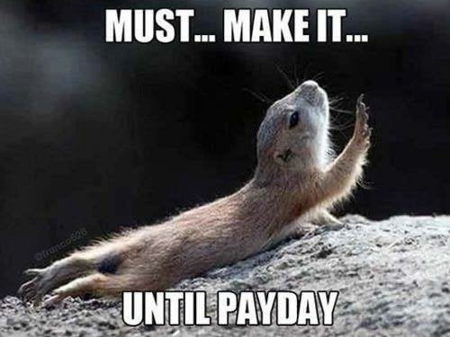 Michaela Imbert tweet media