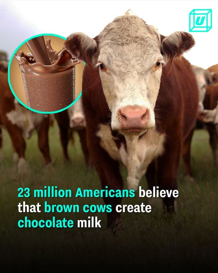 Sadie_NC's tweet image. Wow, do they really??!!
😳😳