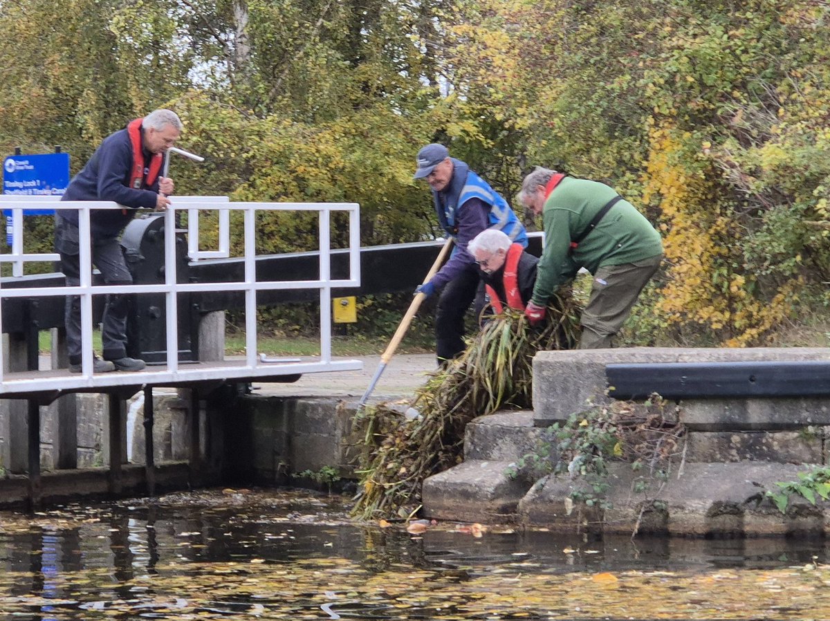 Good day on workboat 'Hawk' carrying out towpath maintenance at Bacon Lane Bridge. Extracted a floating reed bed on our return to Tinsley too. <a href="/CRTYorkshireNE/">Canal & River Trust - Yorkshire & North East</a> <a href="/CanalRiverTrust/">Canal & River Trust</a> #hawktheworkboat #volunteerbywater #keepcanalsalive #sheffieldandtinsleycanal