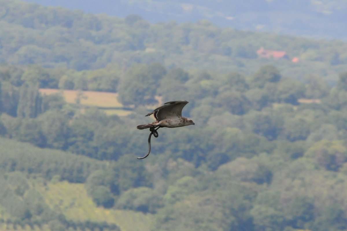 Matt Eade tweet media