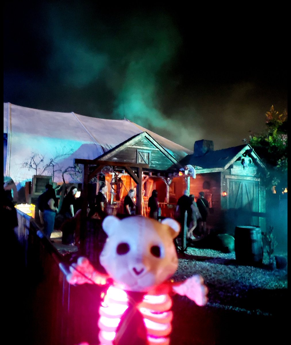 Lil HHN Bear 🐻 tweet media