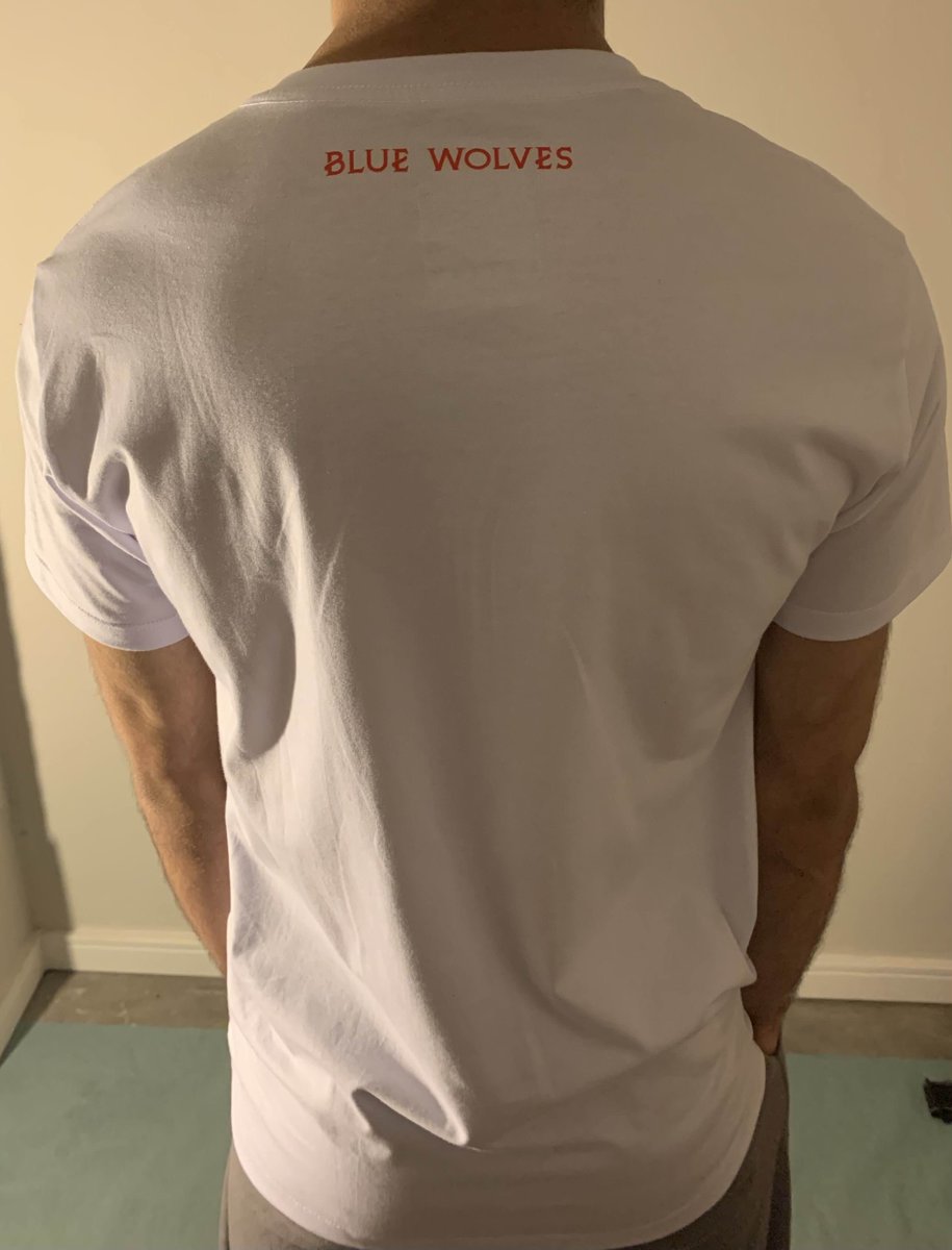 Para quem estava com dúvidas, segue imagem das camisas sendo vestidas. 

Pelo sucesso que as camisas tiveram, certamente, teremos mais lotes no futuro. Encomendem já!