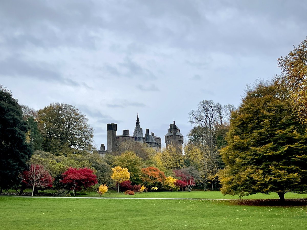Autumn colours in Cardiff today.
