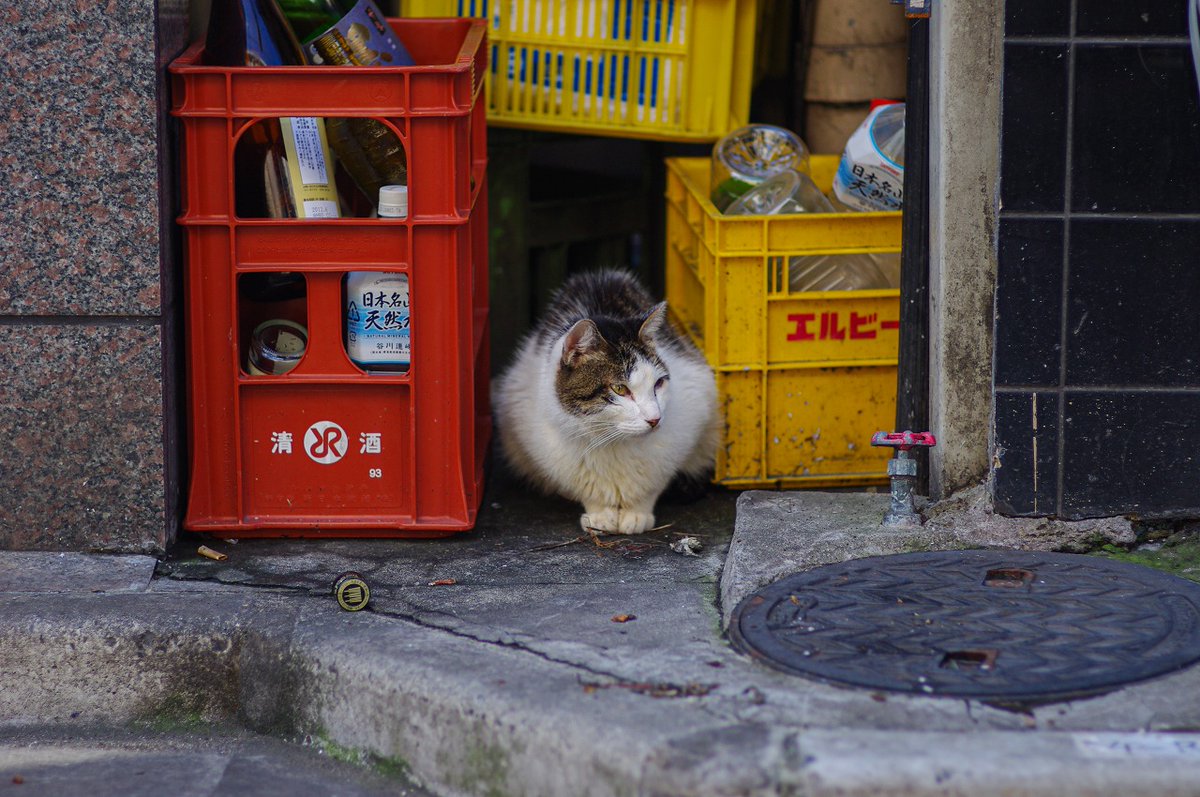 おはよう金曜日