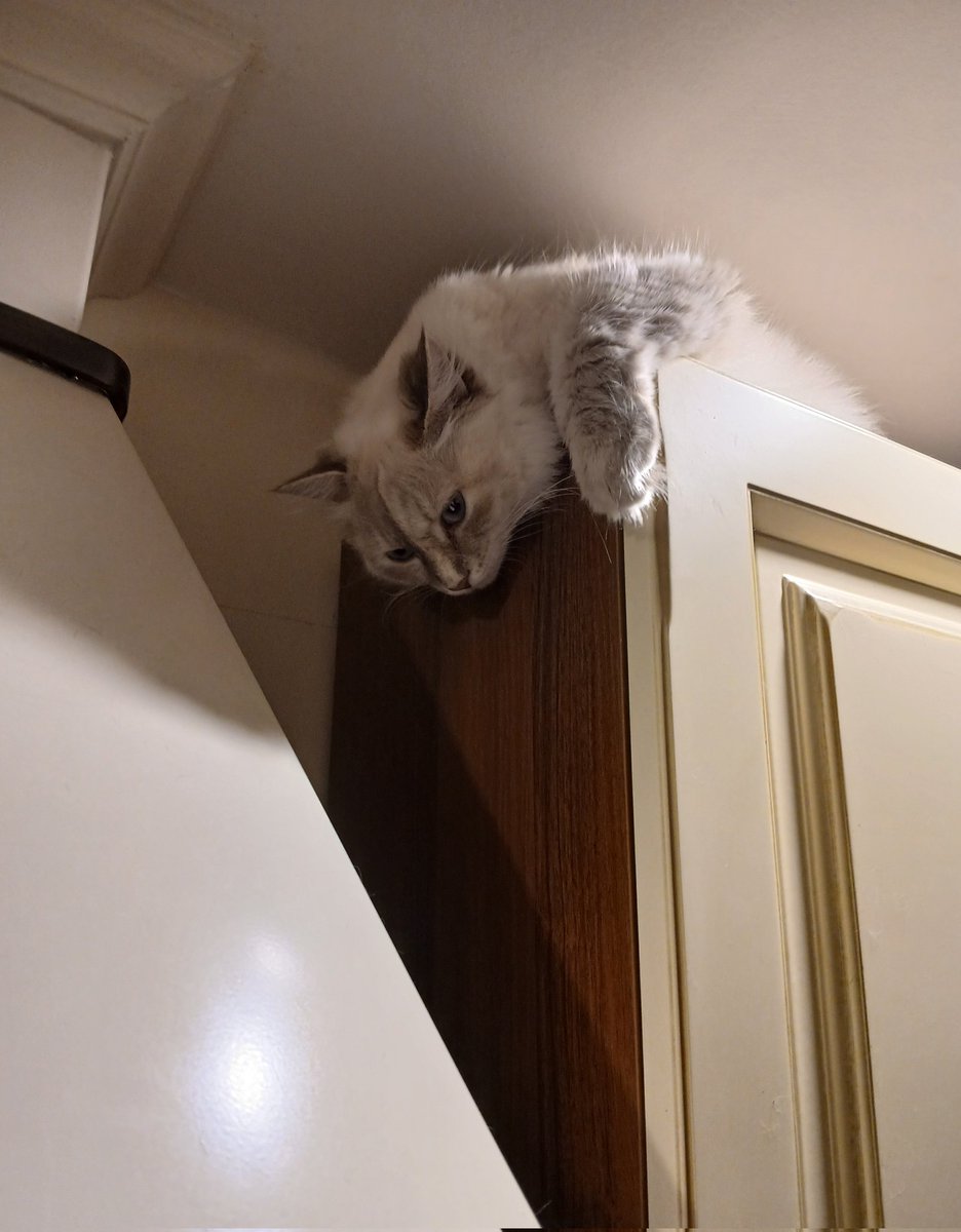 Когда без тебя едят копченую скумбрию