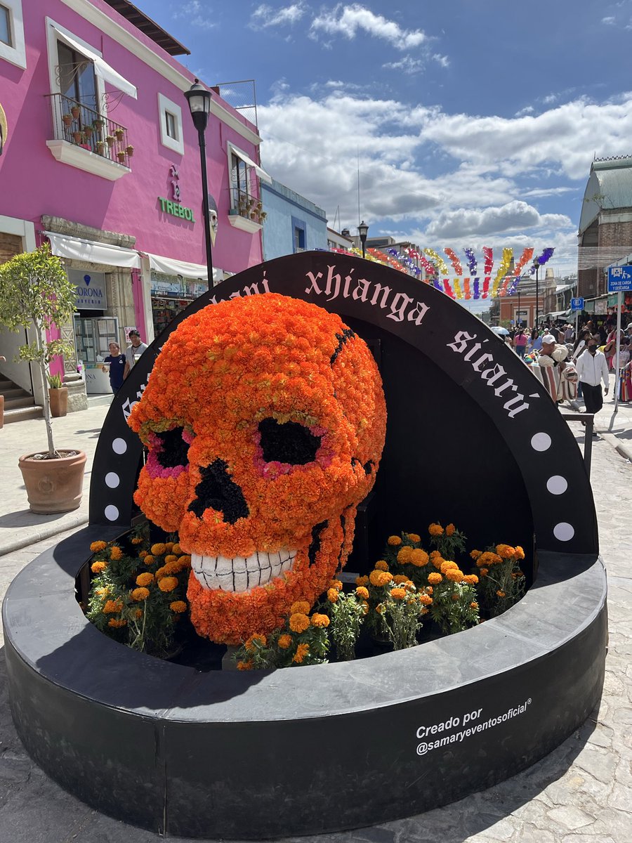 Arrived in Oaxaca earlier, locals getting ready for #DayoftheDead 
Very colourful and lots of celebrations 
<a href="/VisitMex/">Visit México</a> <a href="/oaxaca/">OAXACA</a> 🇲🇽🎉
