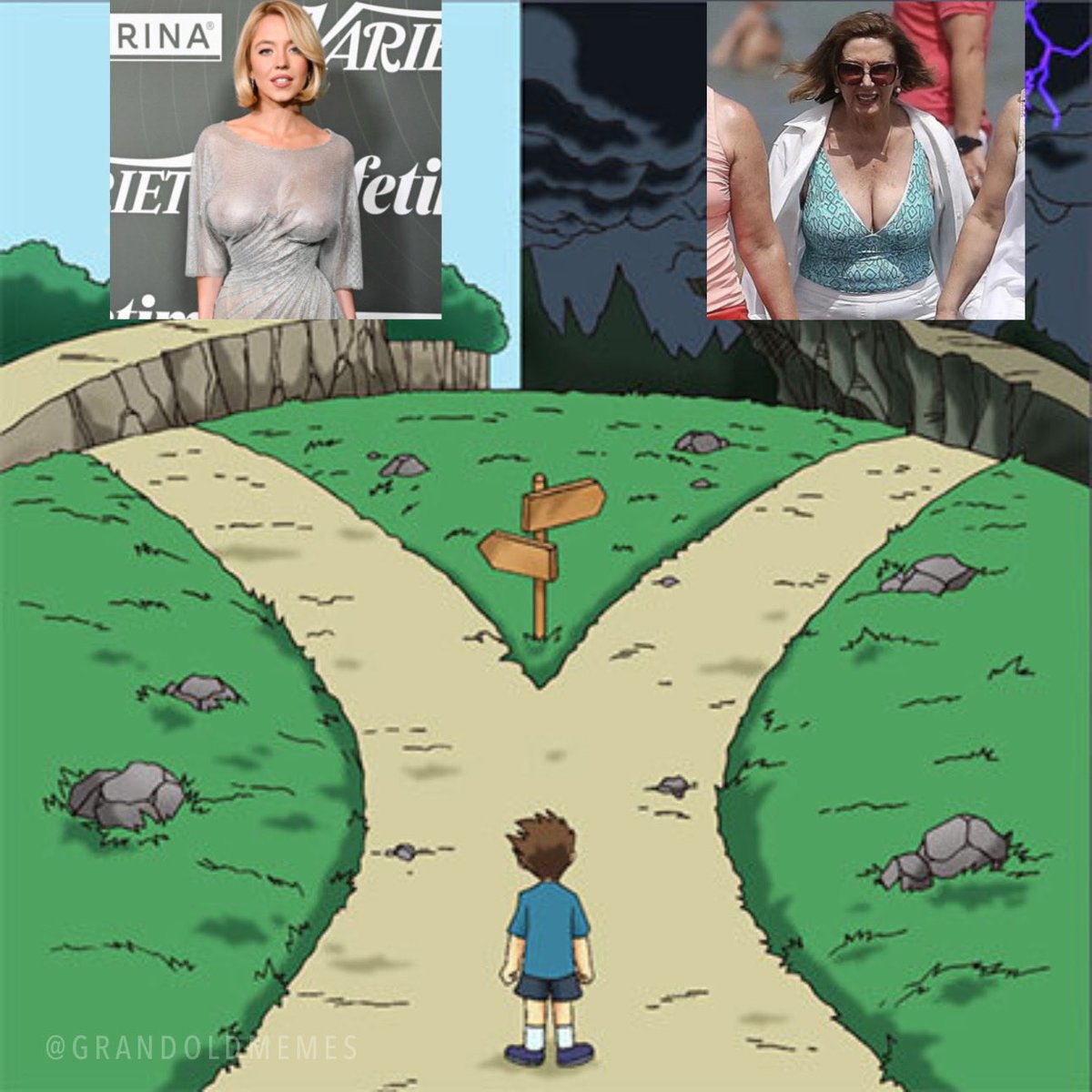 The Right To Bear Memes tweet media