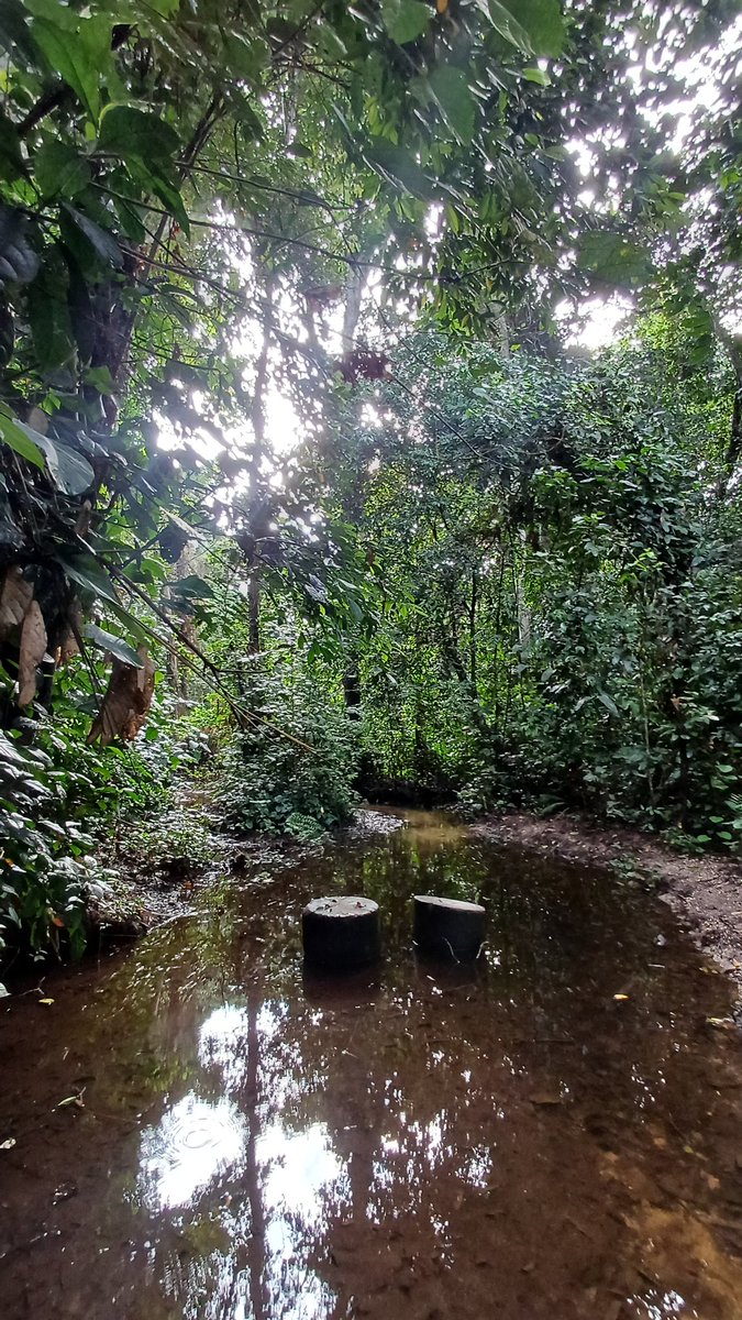 Z buta dookoła Świata tweet media