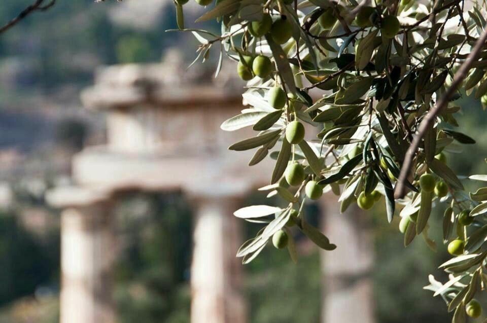 ithacaswaiting_'s tweet image. 𝙏𝙝𝙚 𝙧𝙤𝙨𝙚 𝙙𝙞𝙨𝙘𝙤𝙫𝙚𝙧𝙨, 

                      𝙨𝙝𝙚 𝙞𝙨 𝙖𝙣 𝙞𝙣𝙨𝙩𝙧𝙪𝙢𝙚𝙣𝙩 𝙤𝙛 𝙬𝙖𝙧.