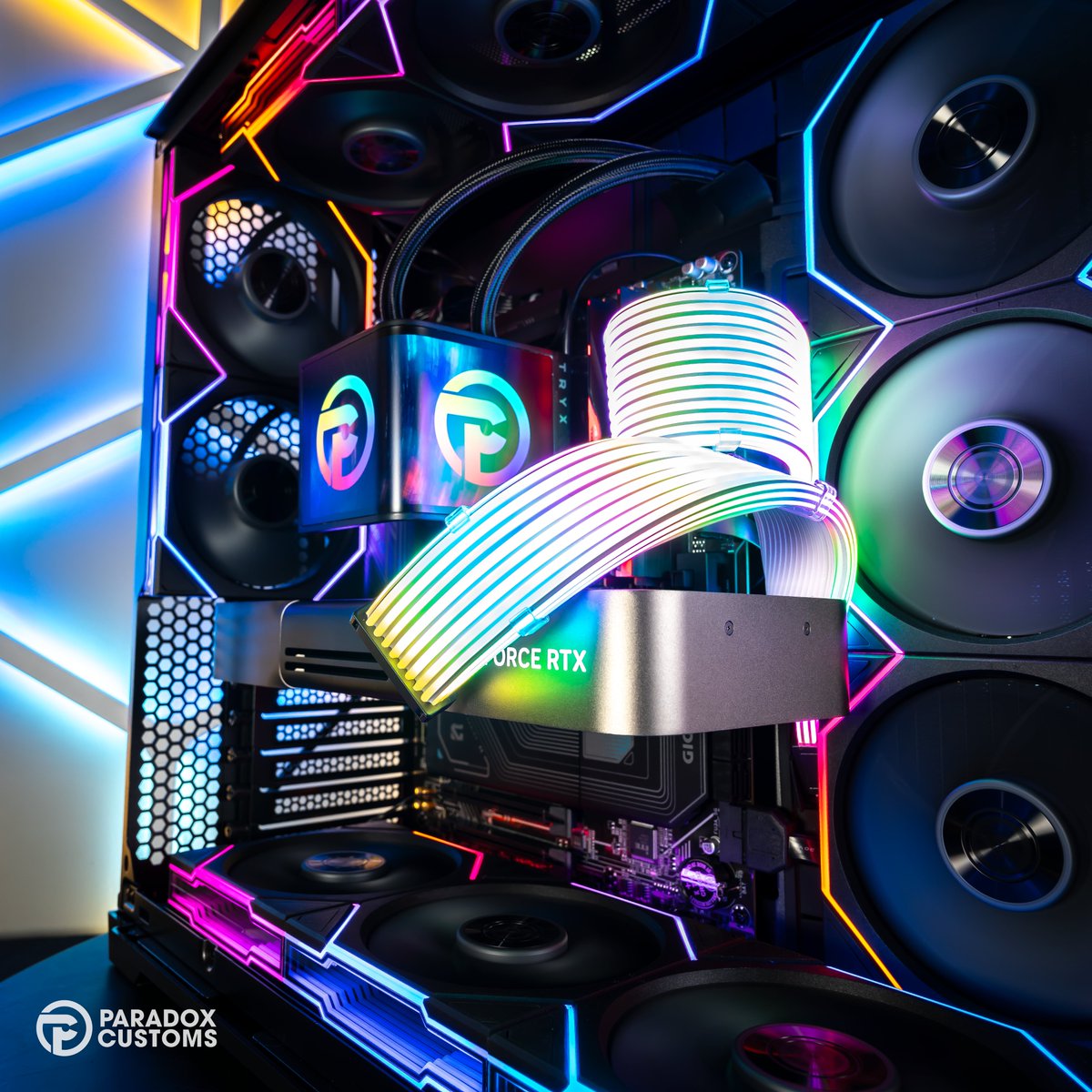 Paradox Customs tweet media