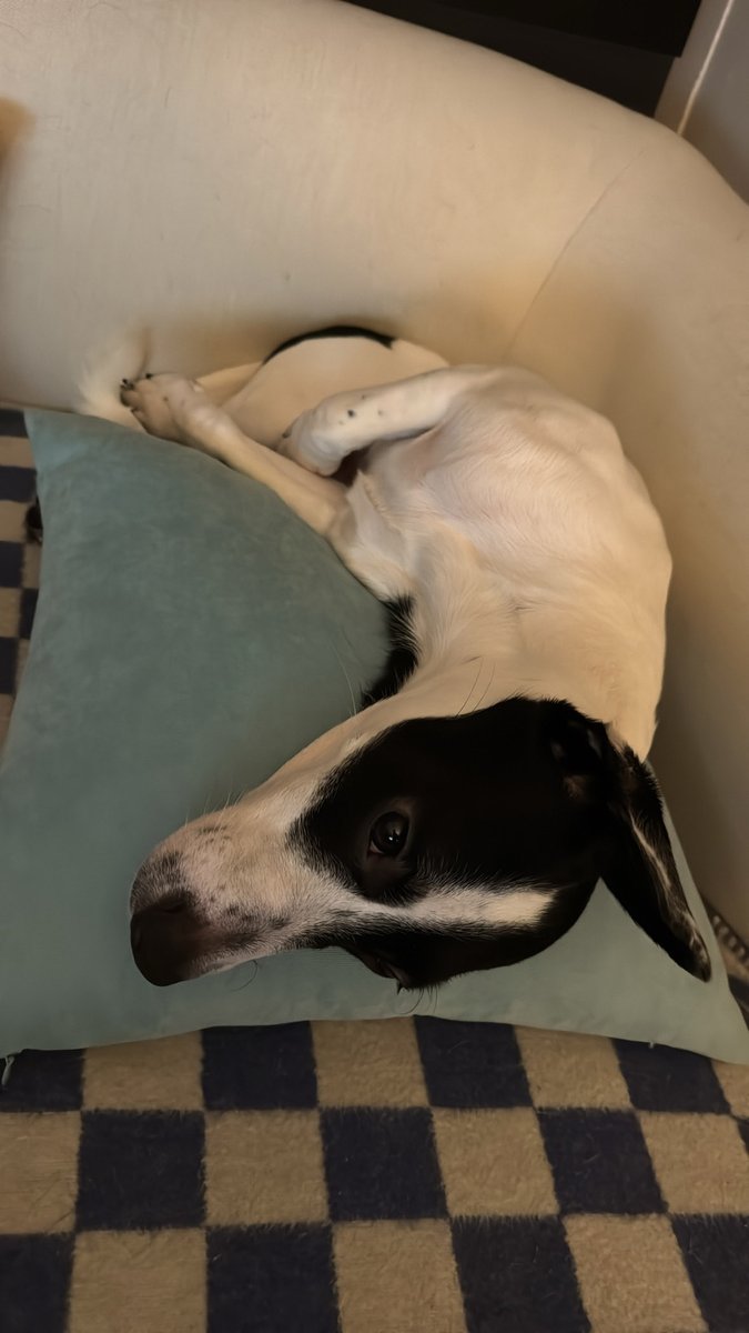 Overthink saatim geldii rahatsız etmeyin…