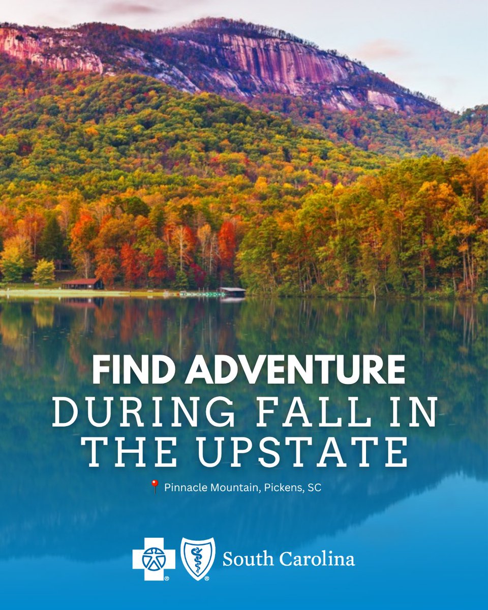 Looking for a family friendly adventure? Get outside to explore South Carolina’s Upstate. There’s plenty of gorgeous natural resources to see for all fitness levels: bcbssc.short.gy/51ExyB. 🍂
