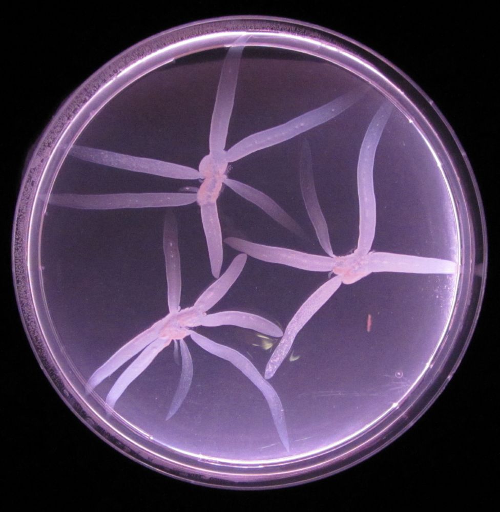 Eric Pollitt tweet media