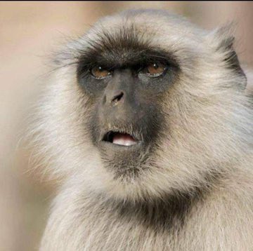 DomInternweb3's tweet image. Founder: “We are hoping to explore the OTC option by Q3 2026”.

Me: