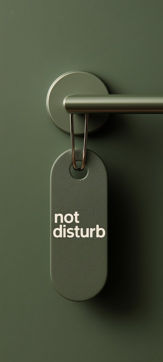 Zenithwalls's tweet photo. "Do not disturb mode activated" https://t.co/UHyw5x6ibh