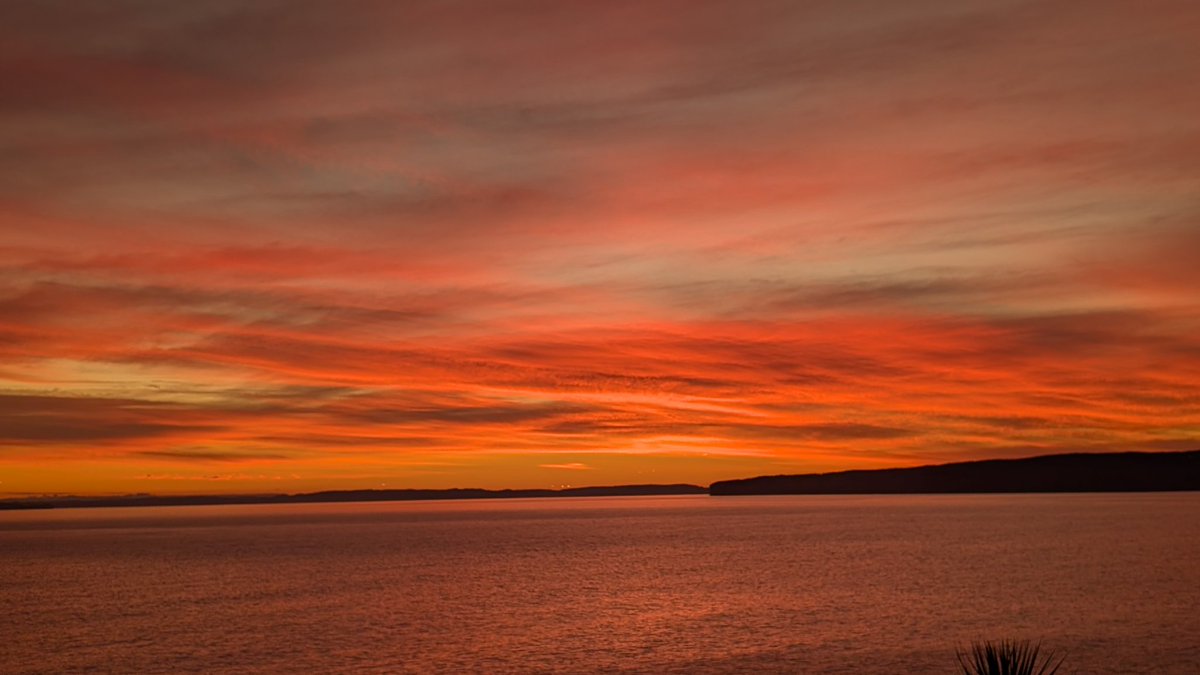 Mark Dobbin tweet media