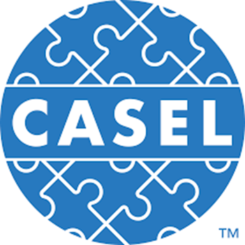 PriscillaWest77's tweet image. 3/ 
At the center is CASEL, the nonprofit that defined “Social Emotional Learning” (SEL).

It used to mean self-regulation and empathy.

Today? It means “redistributing power to promote social justice” and helping students move “from anger, to agency, to action.”