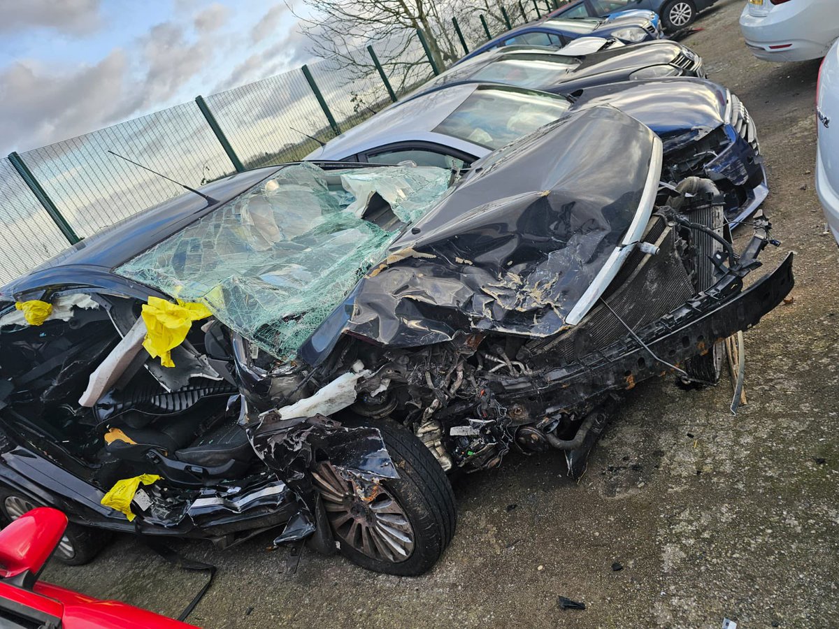 Tony Marflitt tweet media