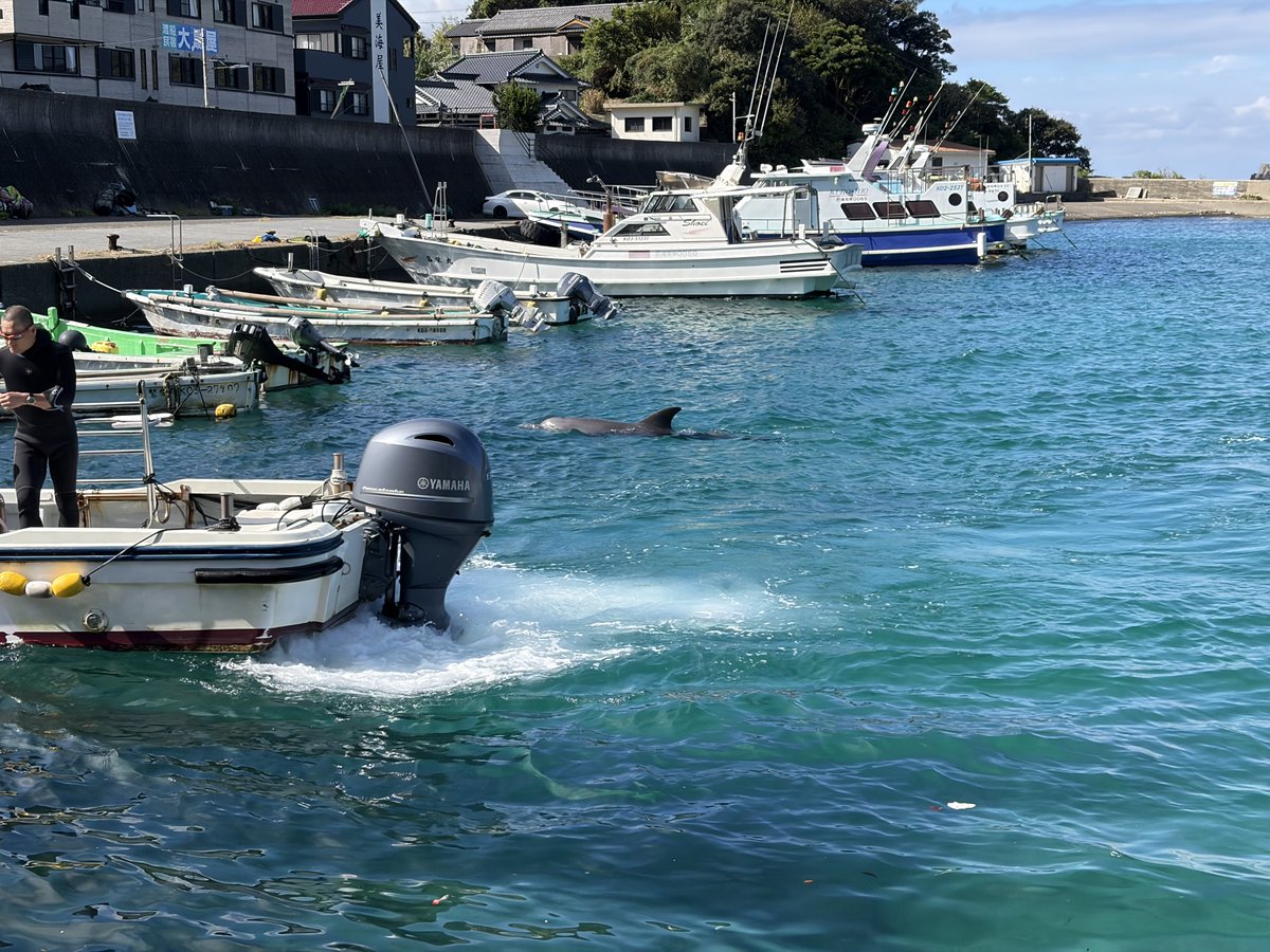 おはぎ＠Inazuﾏ&4ﾏﾏ🏍️SSTﾏ#39 (@strbk11) / Posts / X