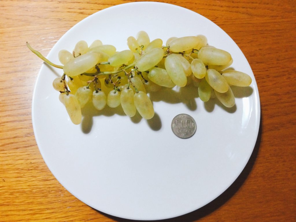 今日のぶどう - Search / X