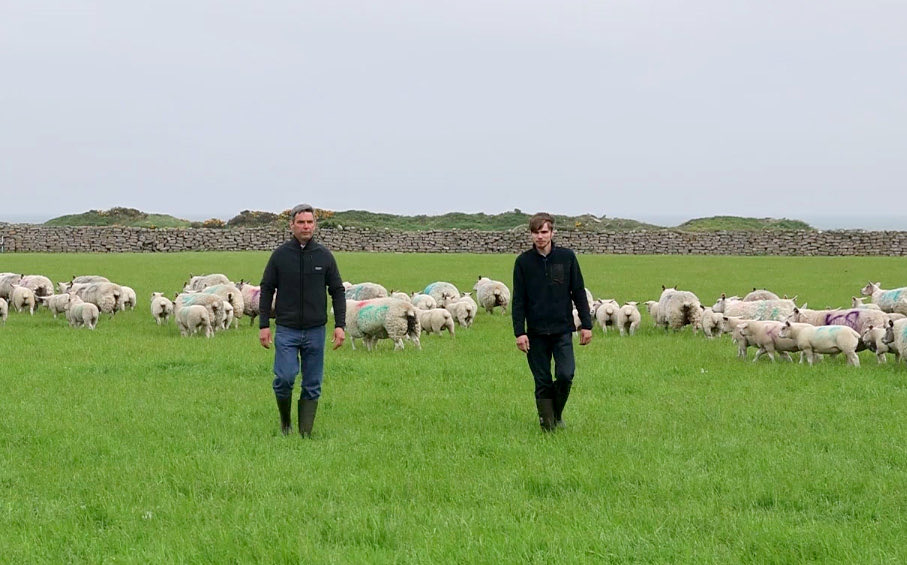 Congratulations to James Henderson, Kilkeel on winning <a href="/BritishGrass/">BGS</a> Grassland Farmer of the Year
A grassland enthusiast who hosted a BGS Virtual Meeting in 2021 &amp; UGS Summer Meeting in 2023
A well-earned recognition of dedication, innovation, and excellence in grassland farming